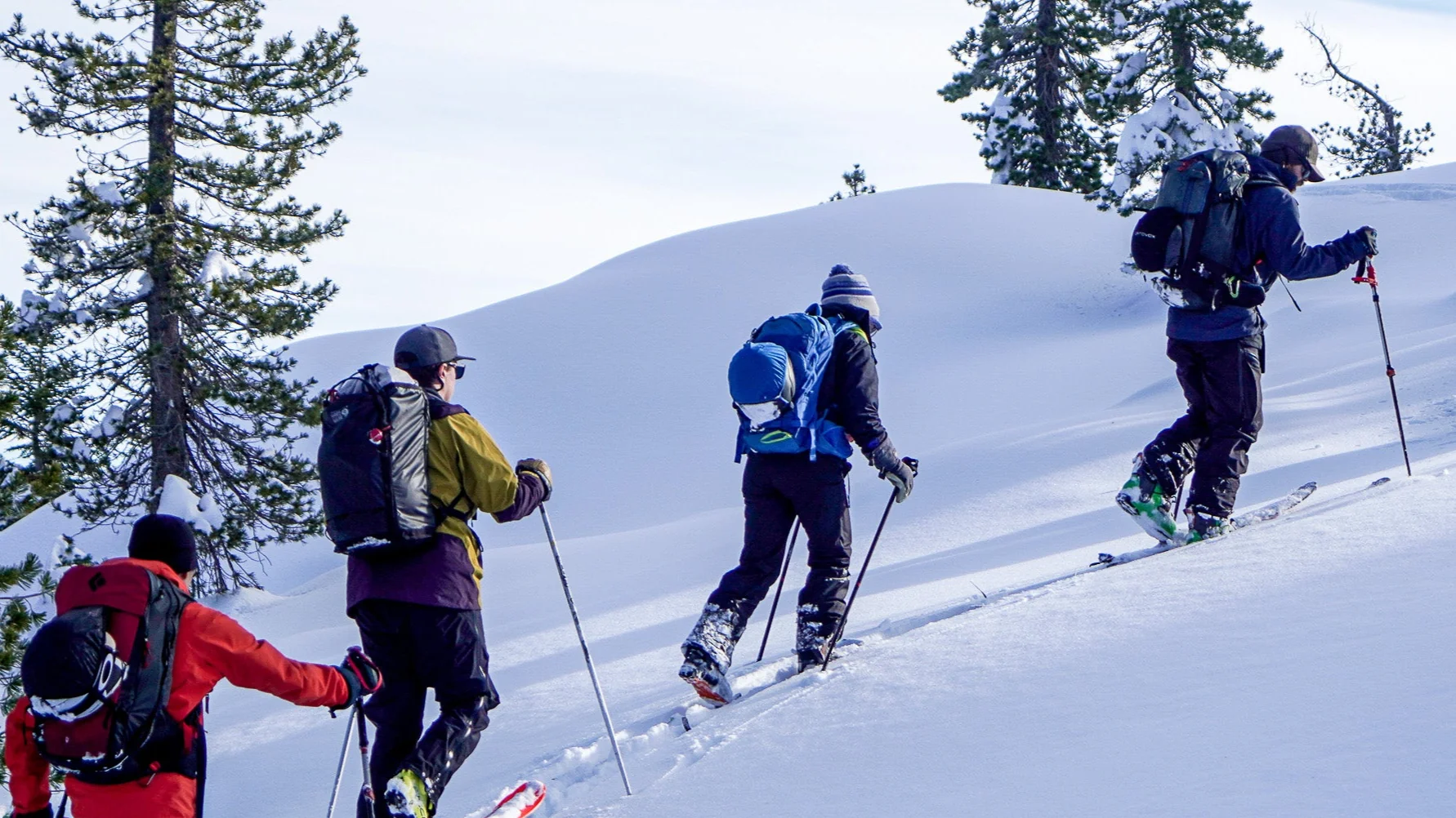 Book Your Adventure